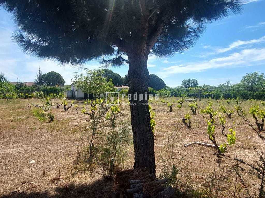 Terreno en venta en Pepino 12/20