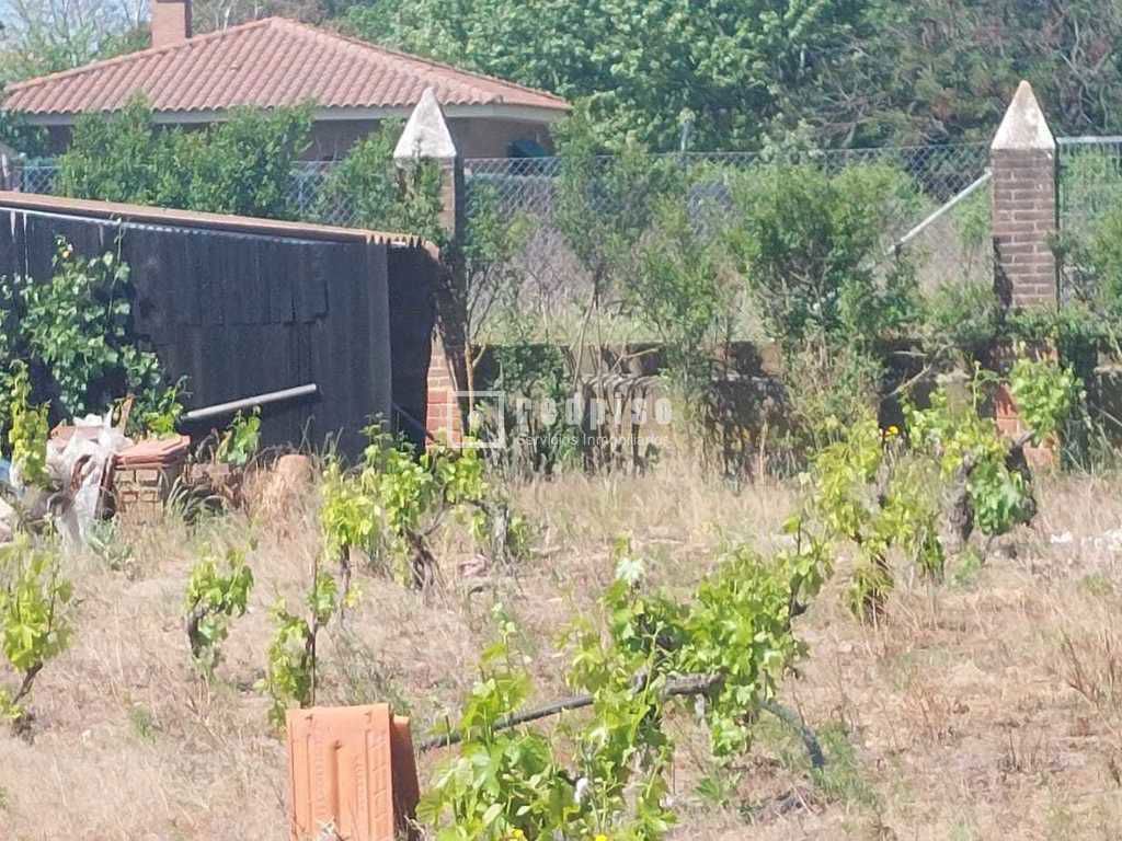 Terreno en venta en Pepino 17/20