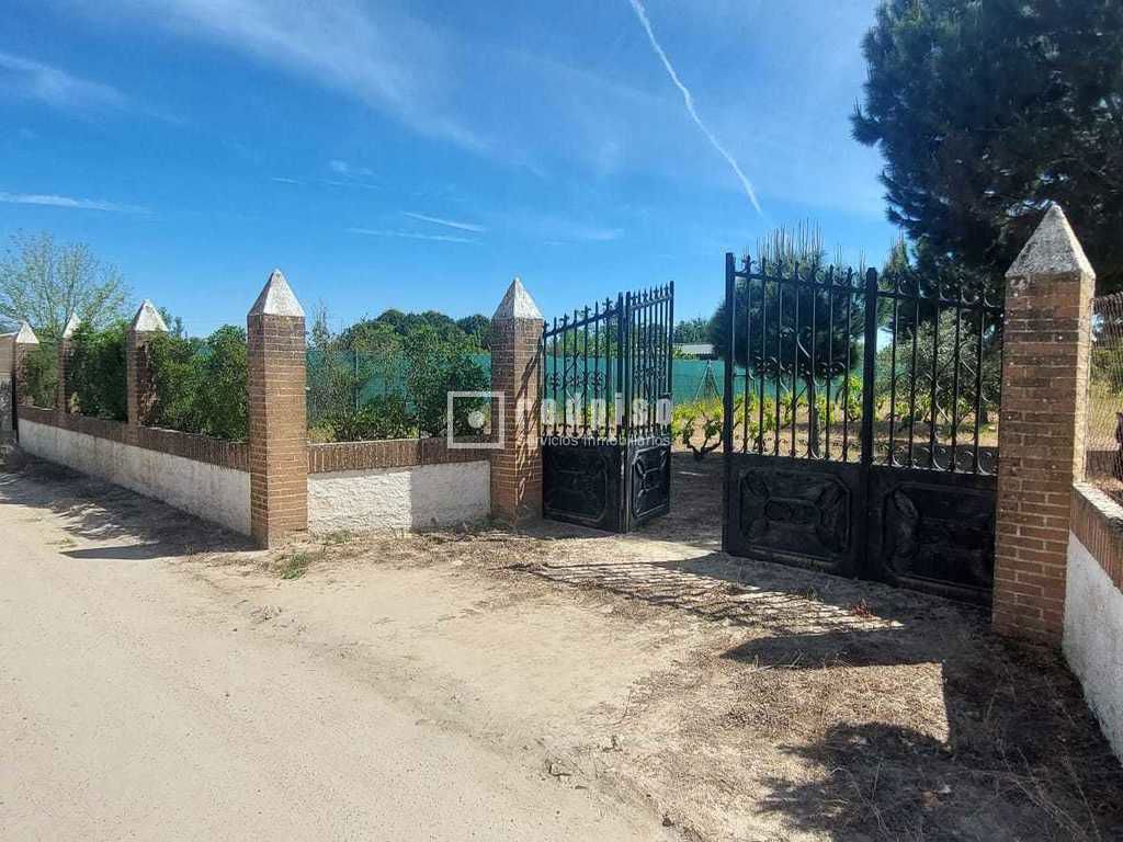 Terreno en venta en Pepino 5/20