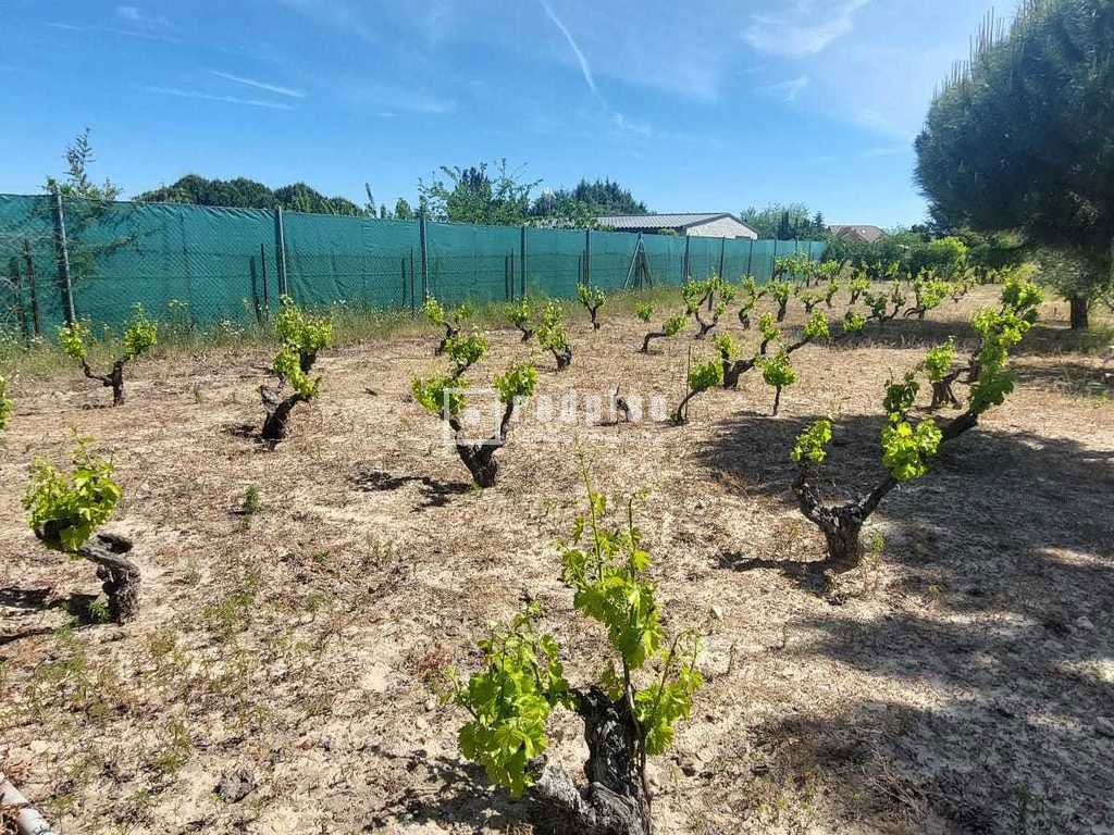 Terreno en venta en Pepino 10/20