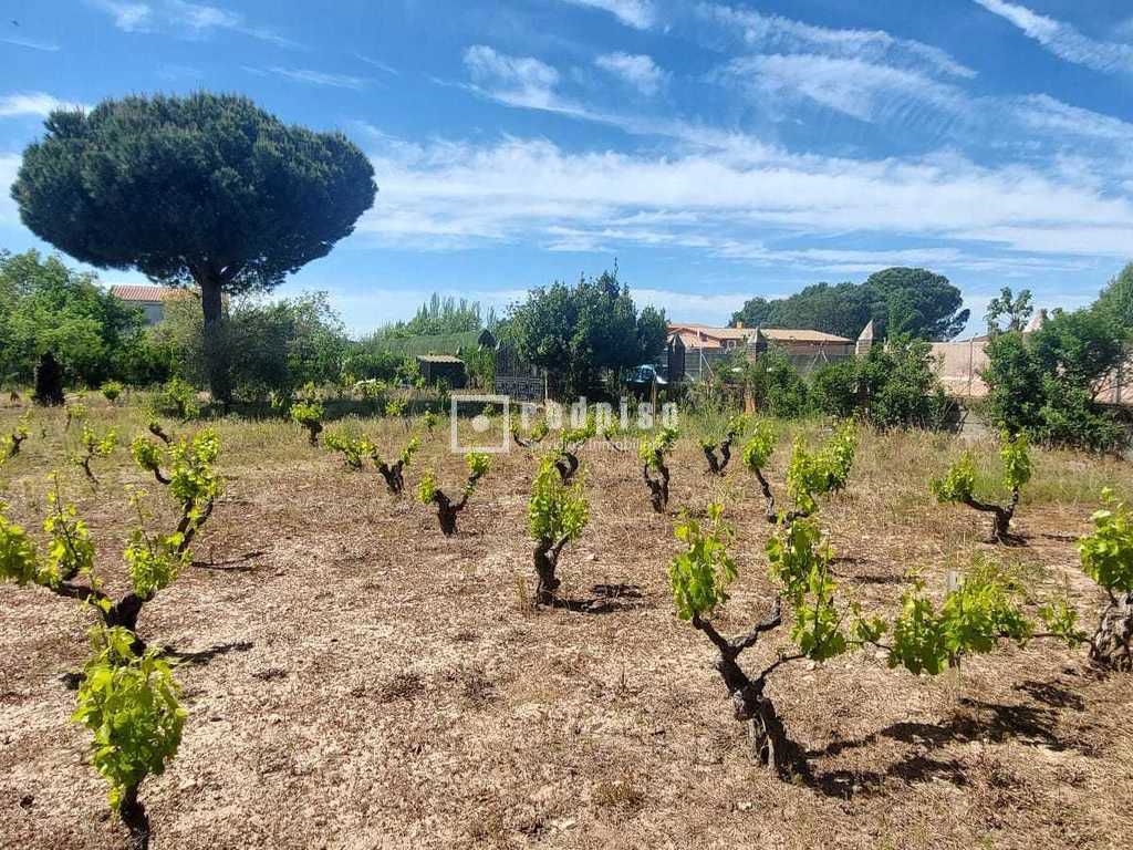 Terreno en venta en Pepino 13/20