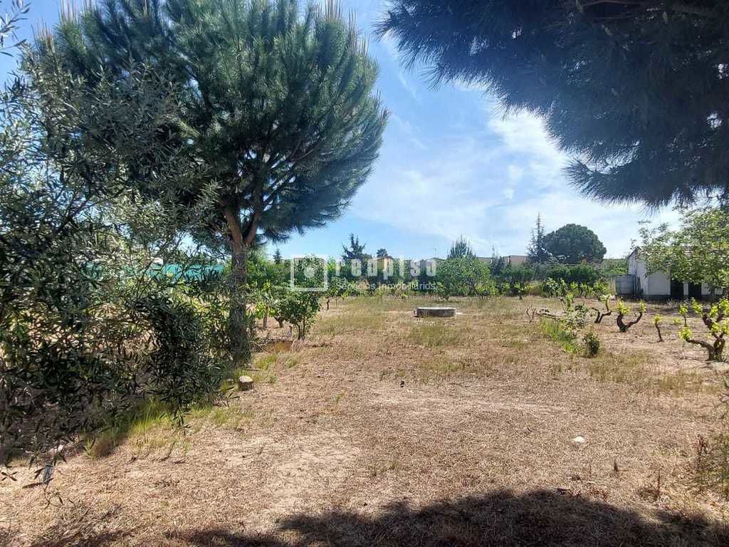 Terreno en venta en Pepino 11/20