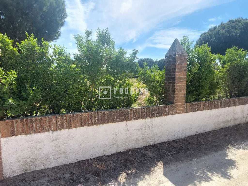 Terreno en venta en Pepino 7/20