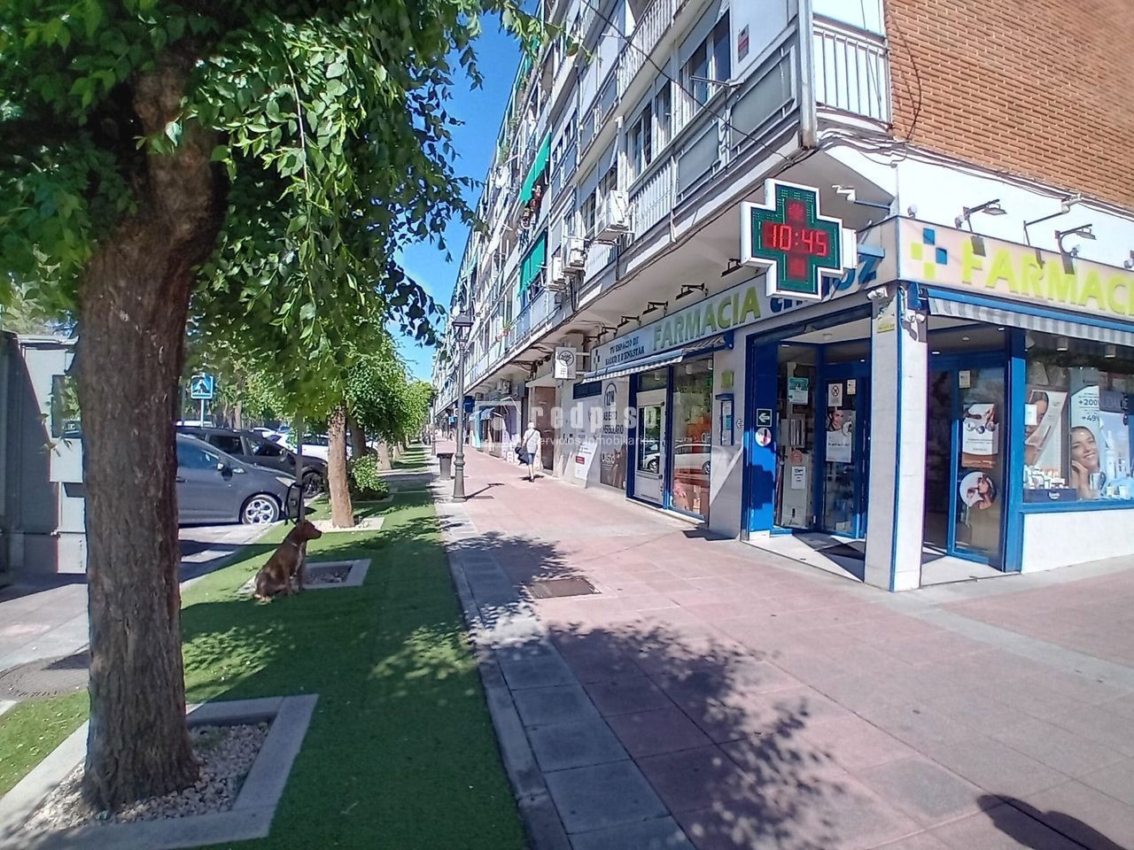 Local en venta en Madrid 2/4