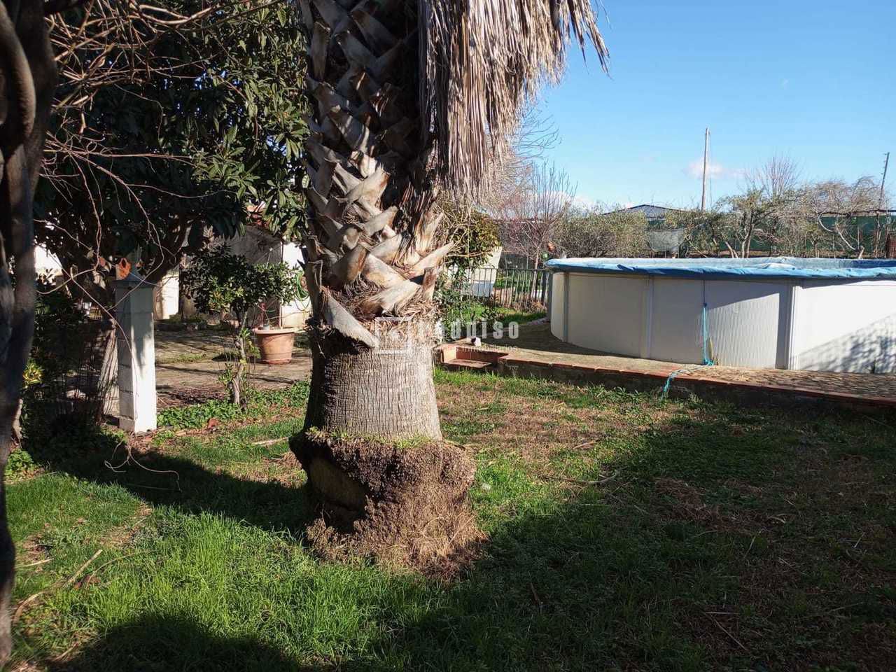 Casa en venta  Talavera de la Reina, Toledo  18/19