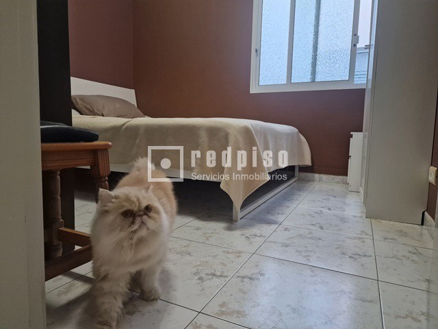 Piso en venta en  La Laguna, Santa Cruz de Tenerife  20/31