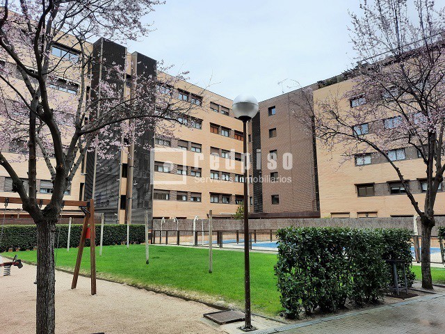 Piso en alquiler en  calle del Alcalde Henche de la Plata, Madrid  1/1