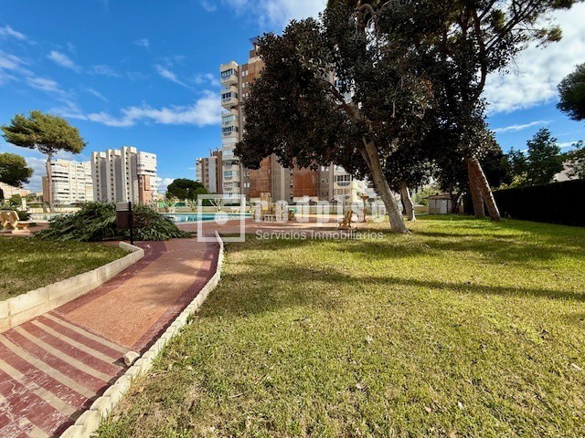 Piso en venta en avenida Bruselas, Alacant, Alicante 7/30