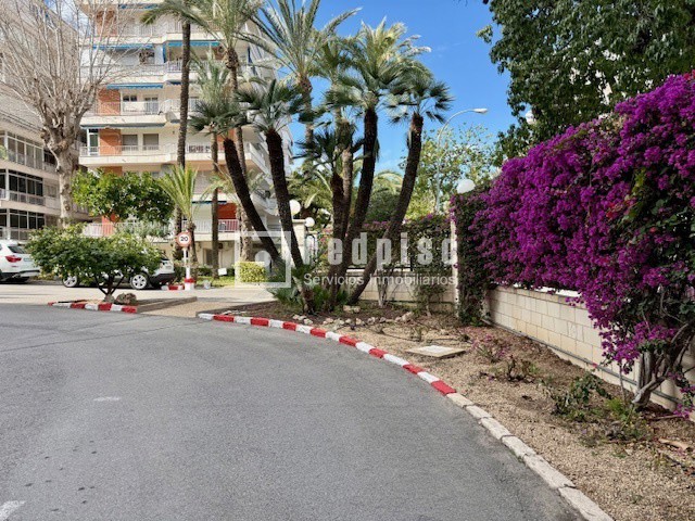 Piso en venta en avenida Bruselas, Alacant, Alicante 8/30