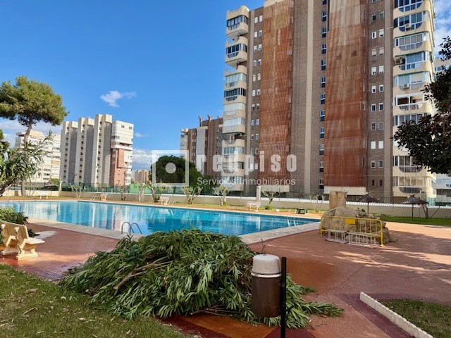 Piso en venta en avenida Bruselas, Alacant, Alicante 5/30