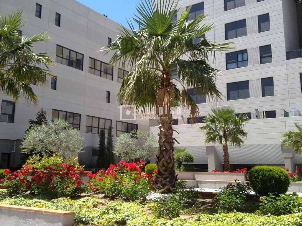 Piso en alquiler en  Coslada, Madrid  6/8