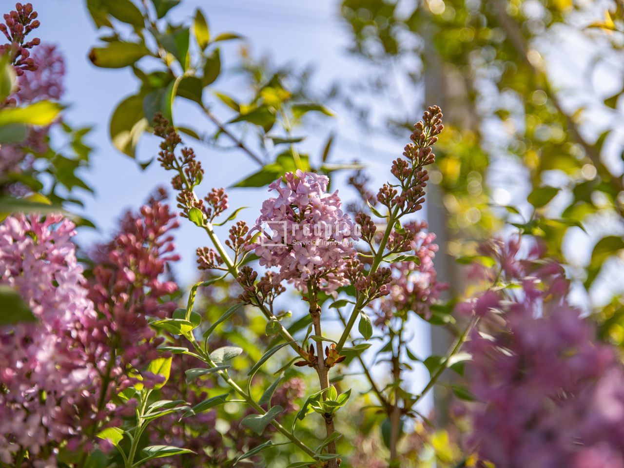 Casa en venta en  calle del Fresno, El Álamo, Madrid  39/40