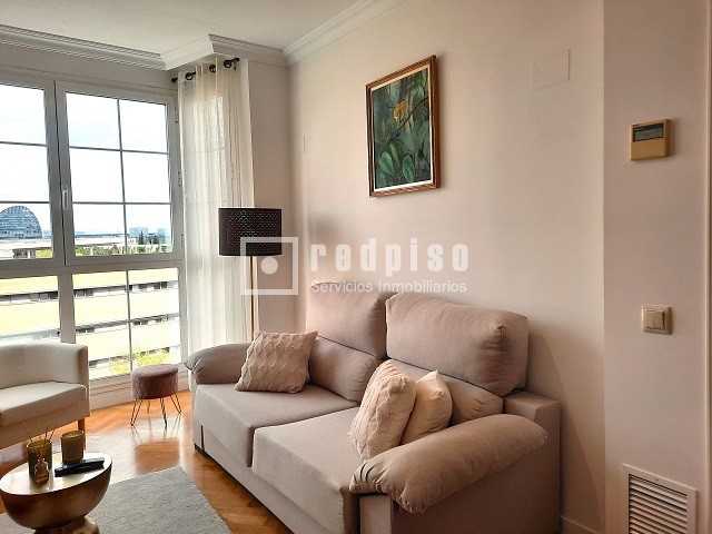 Piso en alquiler en  avenida de Isabel de Valois, Madrid  10/35