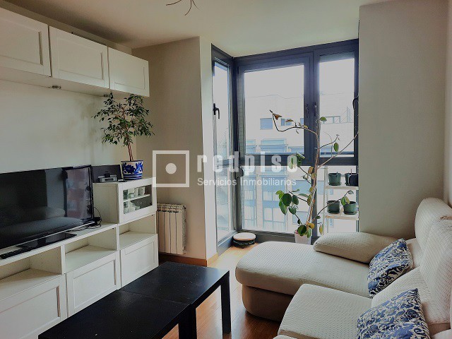 Piso en alquiler en  calle de la Princesa de Éboli, Madrid  5/38