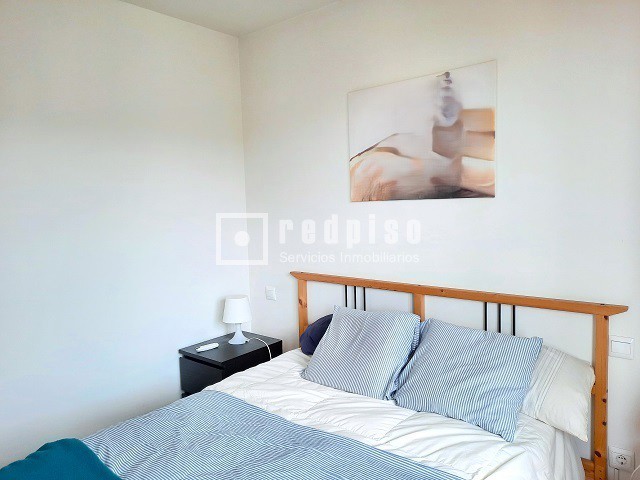 Piso en alquiler en  calle de la Princesa de Éboli, Madrid  28/38