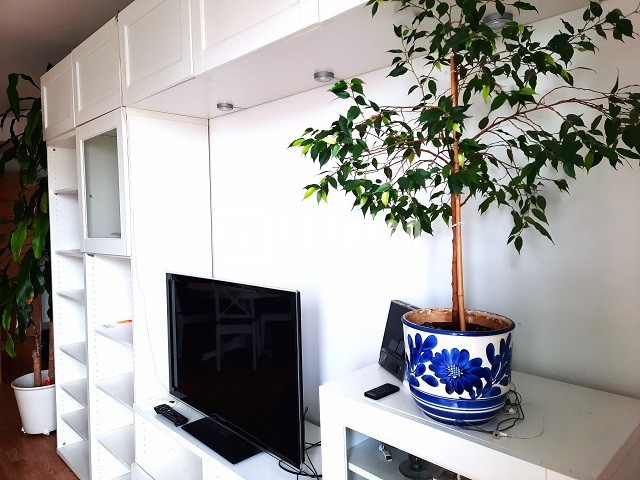 Piso en alquiler en  calle de la Princesa de Éboli, Madrid  3/38