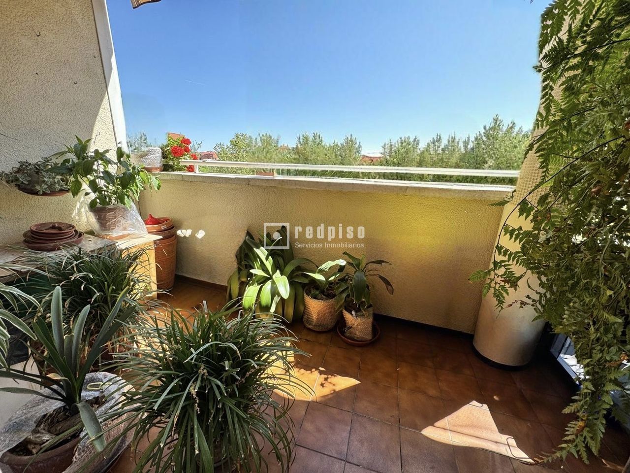 Piso en venta en calle De Las Coníferas, Madrid, Madrid 5/17