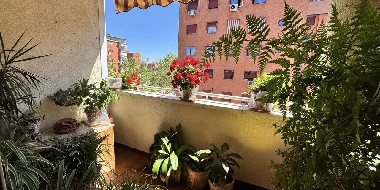 Piso en venta en  calle de las Coníferas, Madrid  1/1