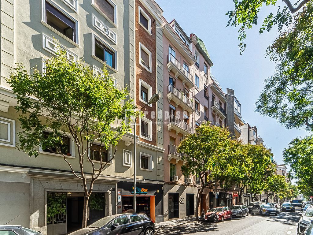 Piso en alquiler en calle De Bretón De Los Herreros, Chamberí, Madrid 29/29