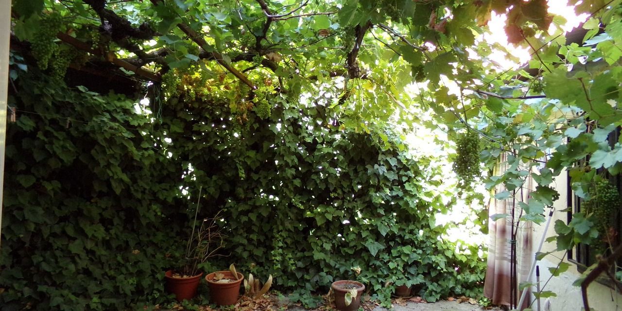 Casa en venta en  calle de la Escuela, Morata de Tajuña, Madrid  1/31