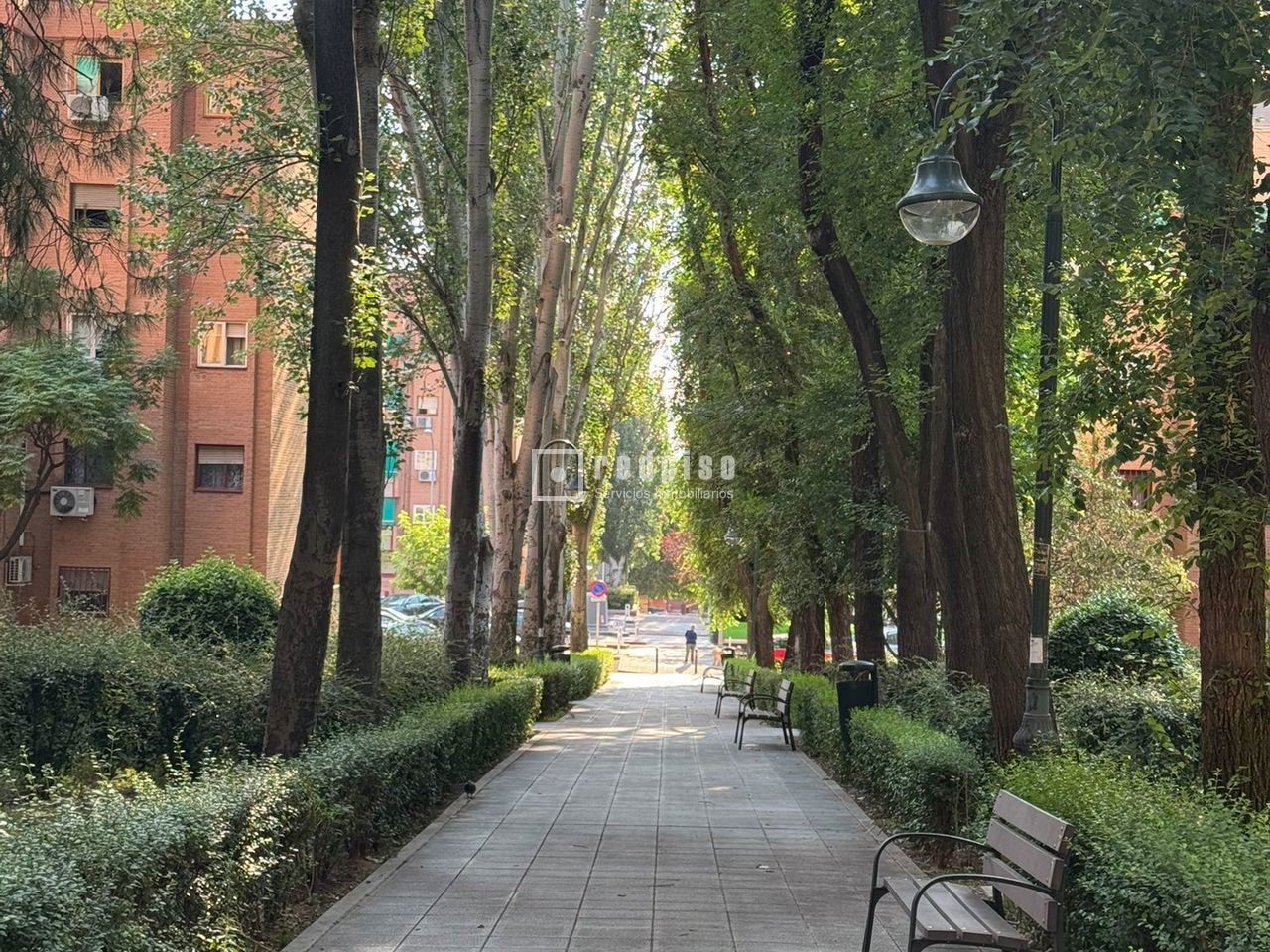 Piso en venta en  avenida de Zarauz, San Fernando de Henares, Madrid  14/18