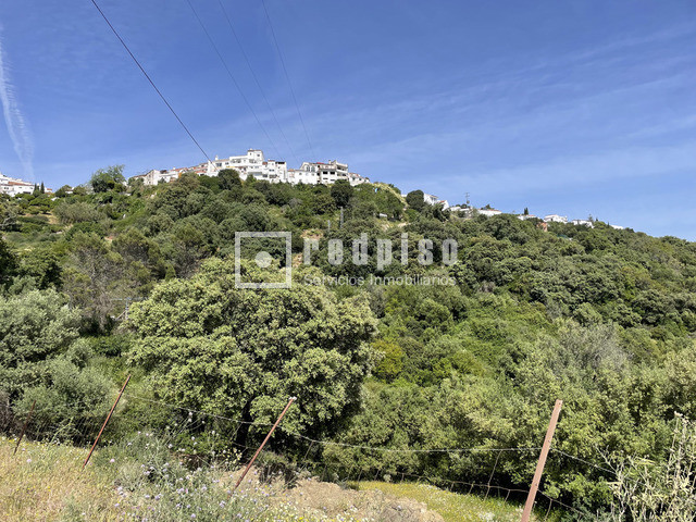 Terreno en venta  calle Pasadilla, 1, Gaucín, Málaga  21/25
