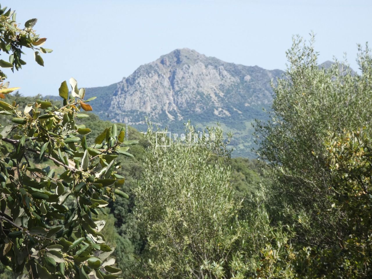 Terreno en venta  calle Pasadilla, 1, Gaucín, Málaga  4/25