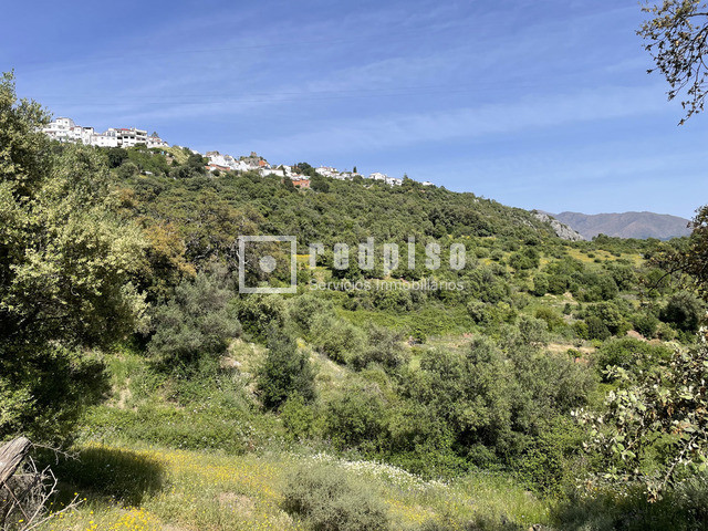 Terreno en venta  calle Pasadilla, 1, Gaucín, Málaga  18/25
