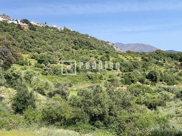 Terreno en venta  calle Pasadilla, 1, Gaucín, Málaga  14/25