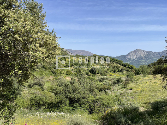 Terreno en venta  calle Pasadilla, 1, Gaucín, Málaga  19/25
