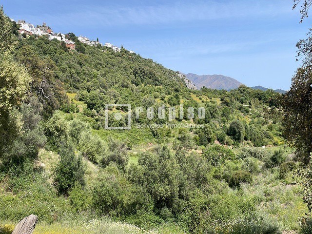 Terreno en venta  calle Pasadilla, 1, Gaucín, Málaga  17/25