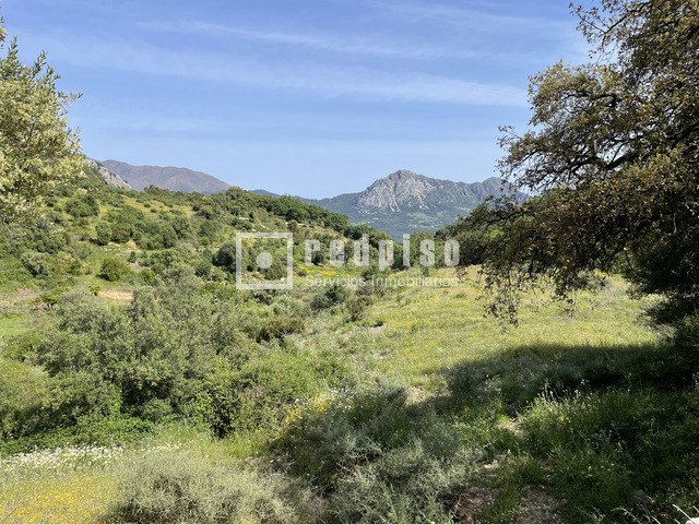 Terreno en venta  calle Pasadilla, 1, Gaucín, Málaga  20/25