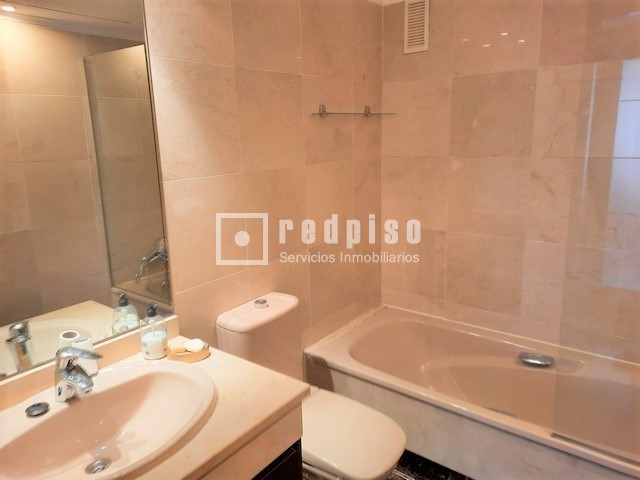 Piso en alquiler en  avenida de Isabel de Valois, Madrid  10/17