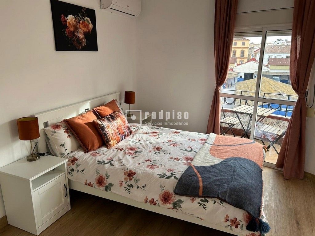 Piso en alquiler en  Málaga  6/15