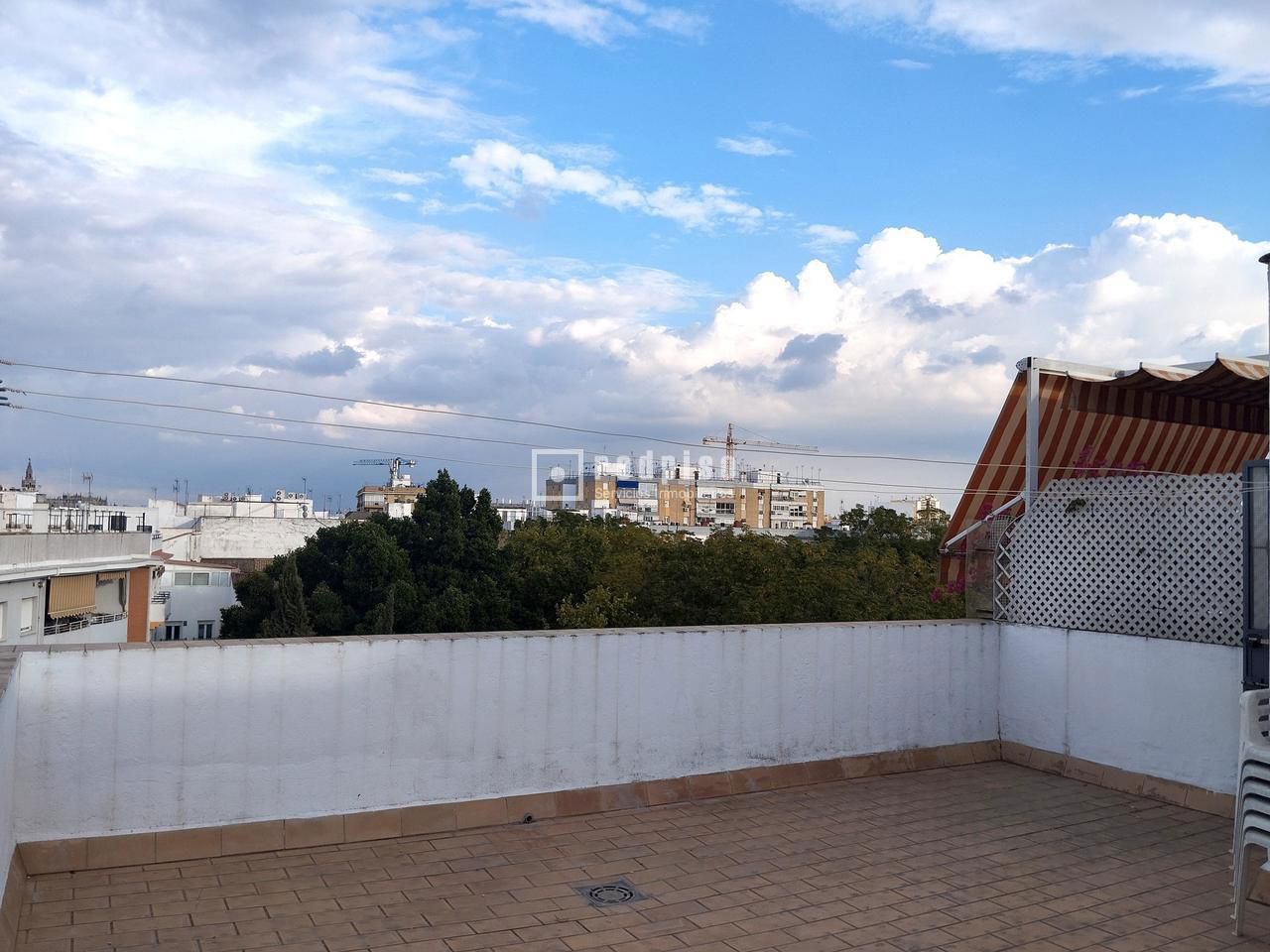 Piso en alquiler en avenida De La Ronda De Triana, Casco Antiguo, Sevilla 23/28