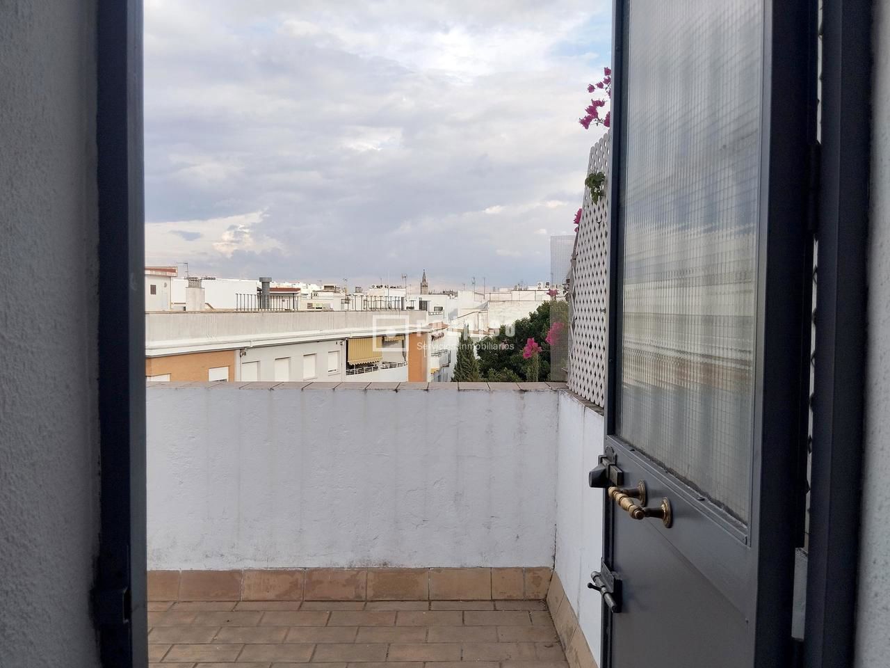 Piso en alquiler en avenida De La Ronda De Triana, Casco Antiguo, Sevilla 22/28