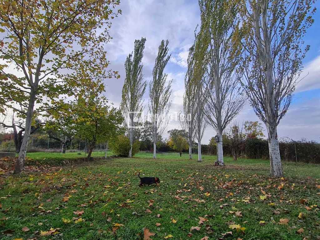 Casa en venta en  Sacedón, Guadalajara  34/34