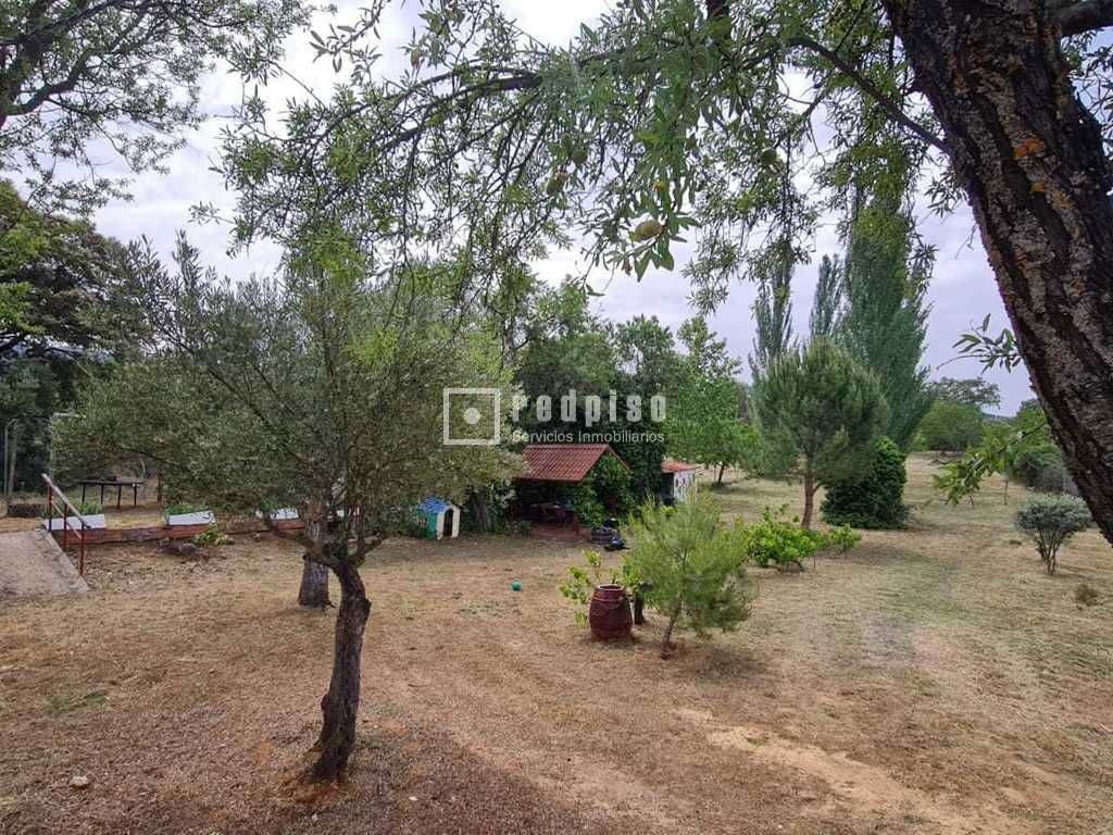 Casa en venta en  Sacedón, Guadalajara  26/34