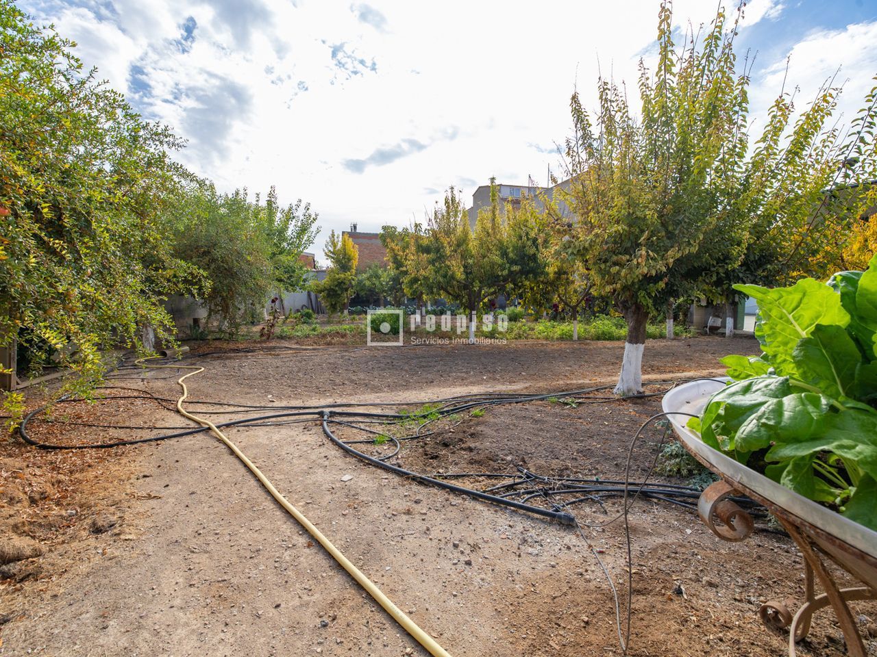 Casa en venta en  Madridejos, Toledo  48/114