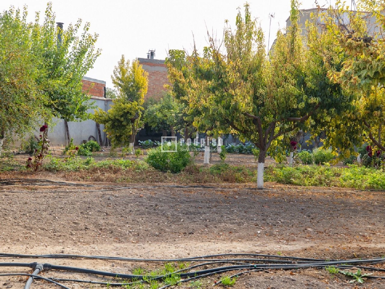 Casa en venta en  Madridejos, Toledo  50/114