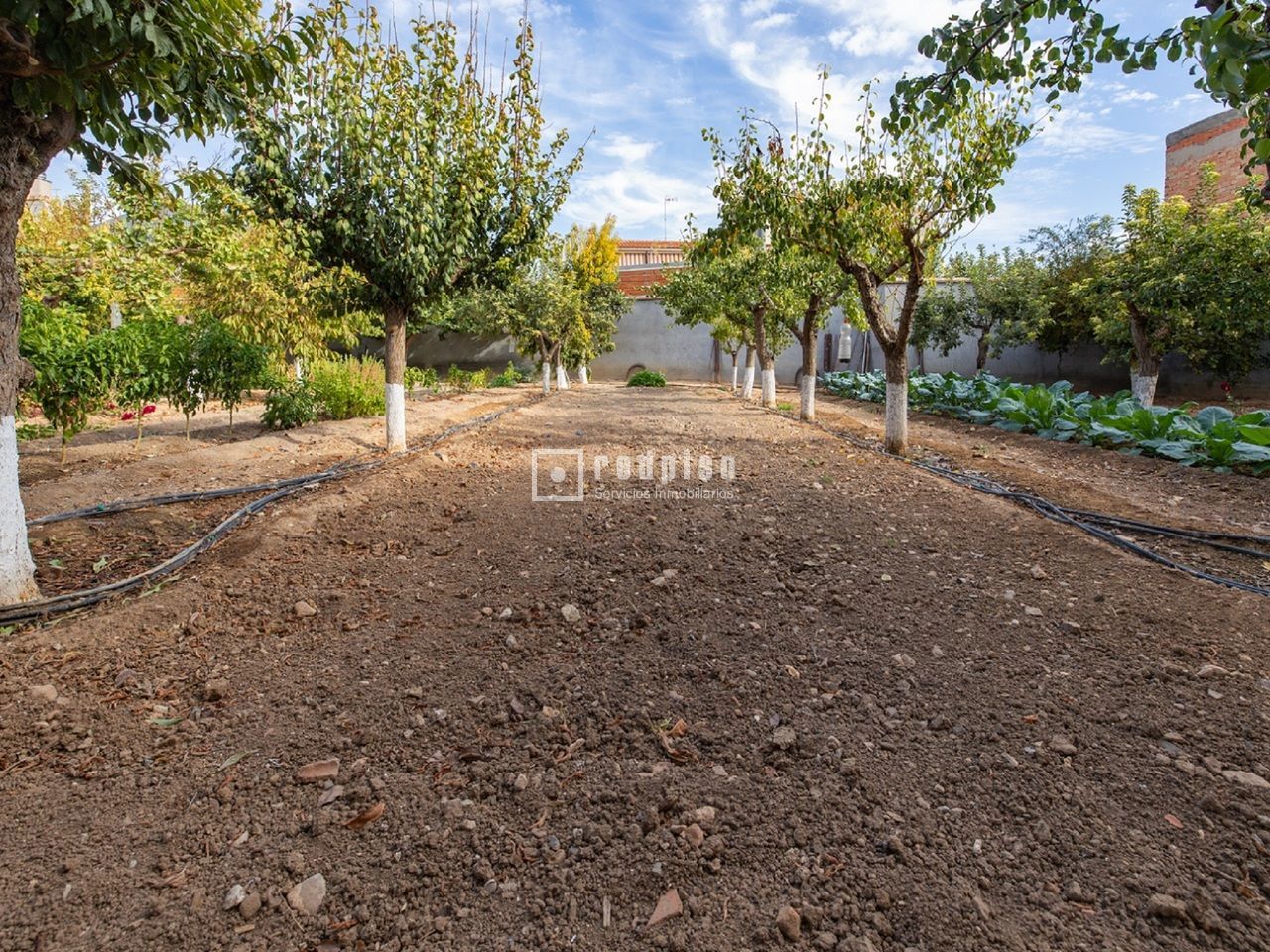 Casa en venta en  Madridejos, Toledo  45/114