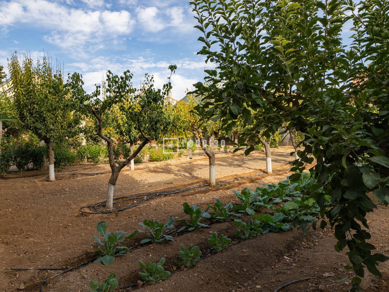 Casa en venta en  Madridejos, Toledo  47/114