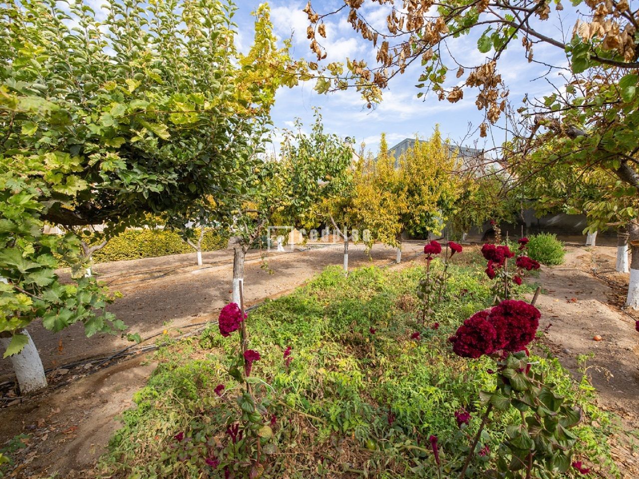 Casa en venta en  Madridejos, Toledo  44/114
