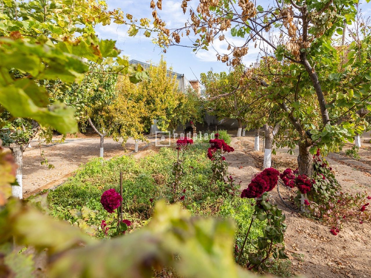 Casa en venta en  Madridejos, Toledo  43/114