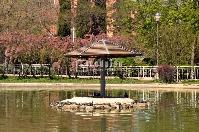 Piso en venta en  Coslada, Madrid  34/38