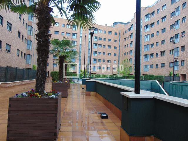 Piso en alquiler en  avenida de Niceto Alcalá Zamora, Madrid  26/26