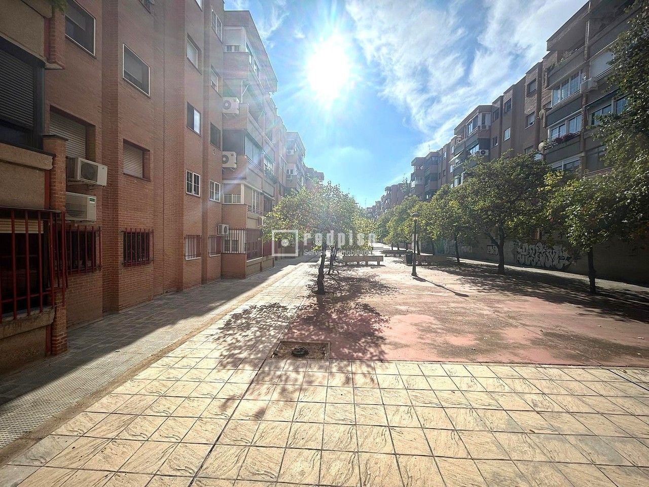 Piso en venta en  calle Vergara, San Fernando de Henares, Madrid  13/13