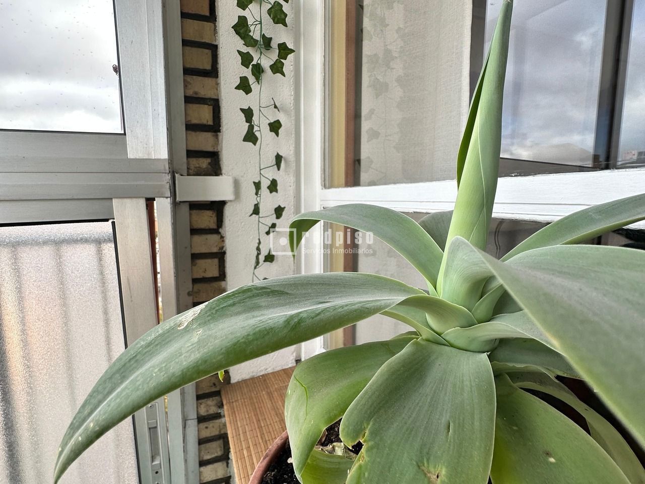 Piso en alquiler en  calle del Puente Colgante, 11, Valladolid  31/40