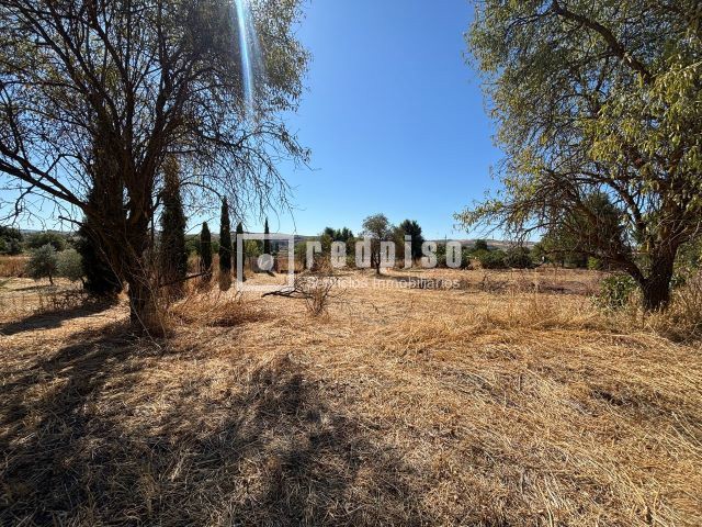 Casa en venta  Chinchón  4/67