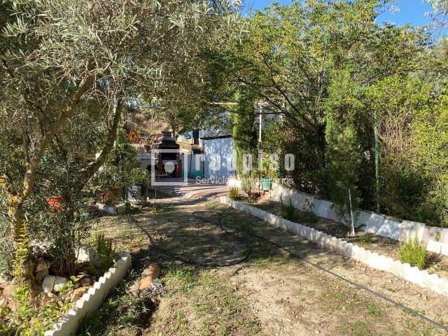 Casa en venta  Chinchón  67/67